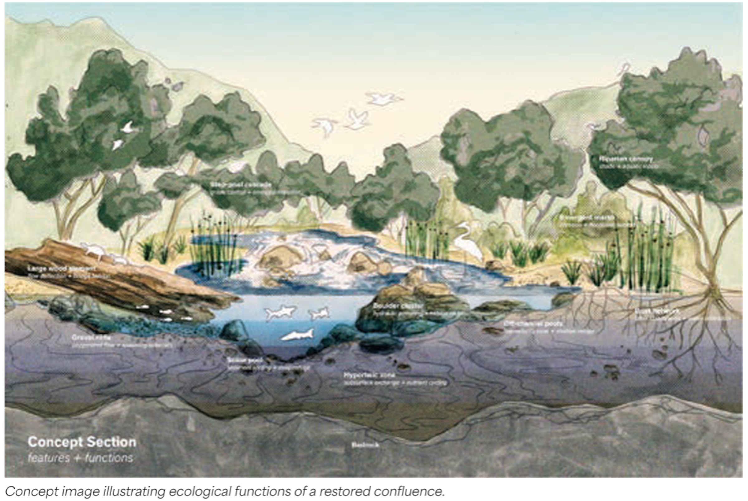Conceptual alternative for San Rafael Confluence and San Pascual Park